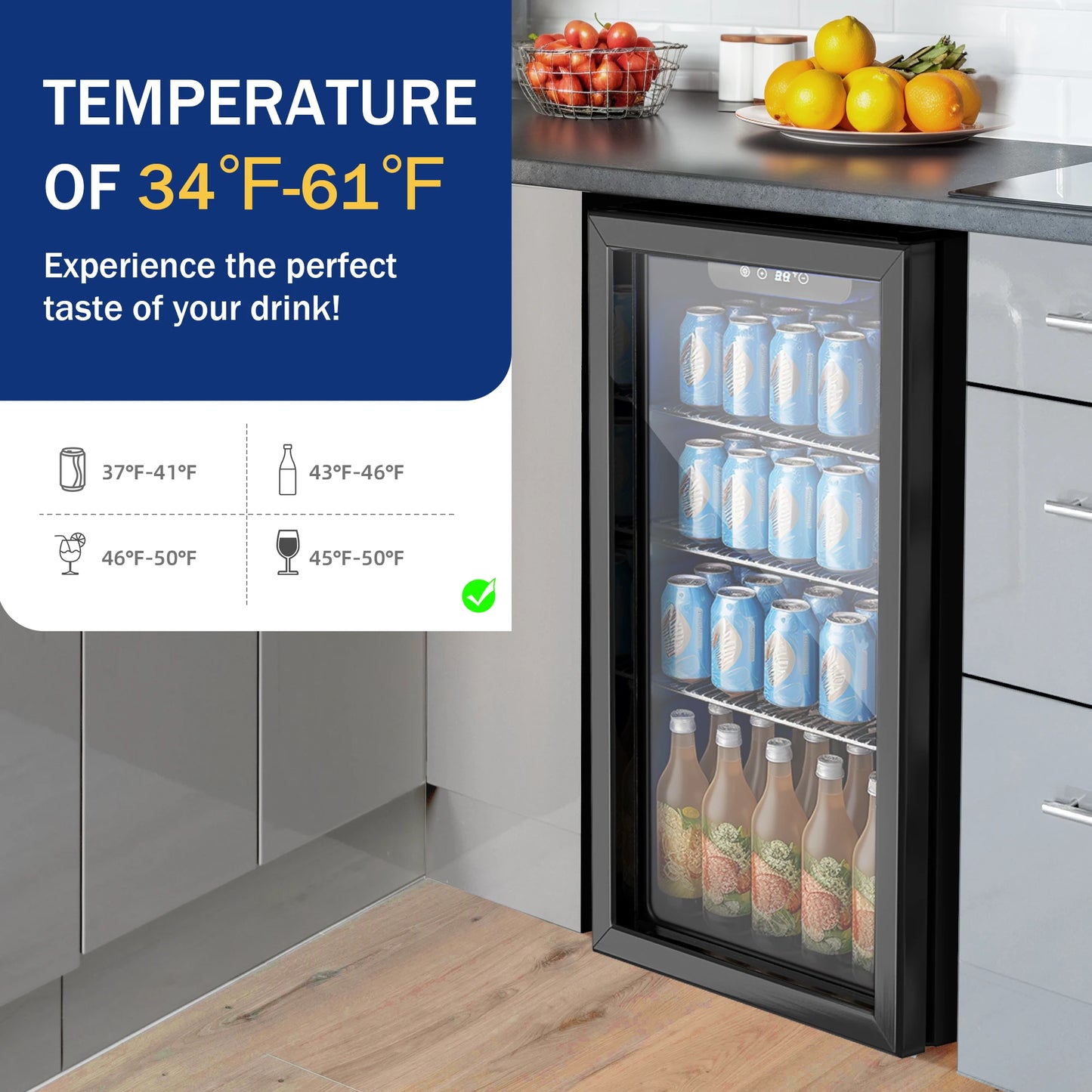 Beverage Refrigerator and Cooler