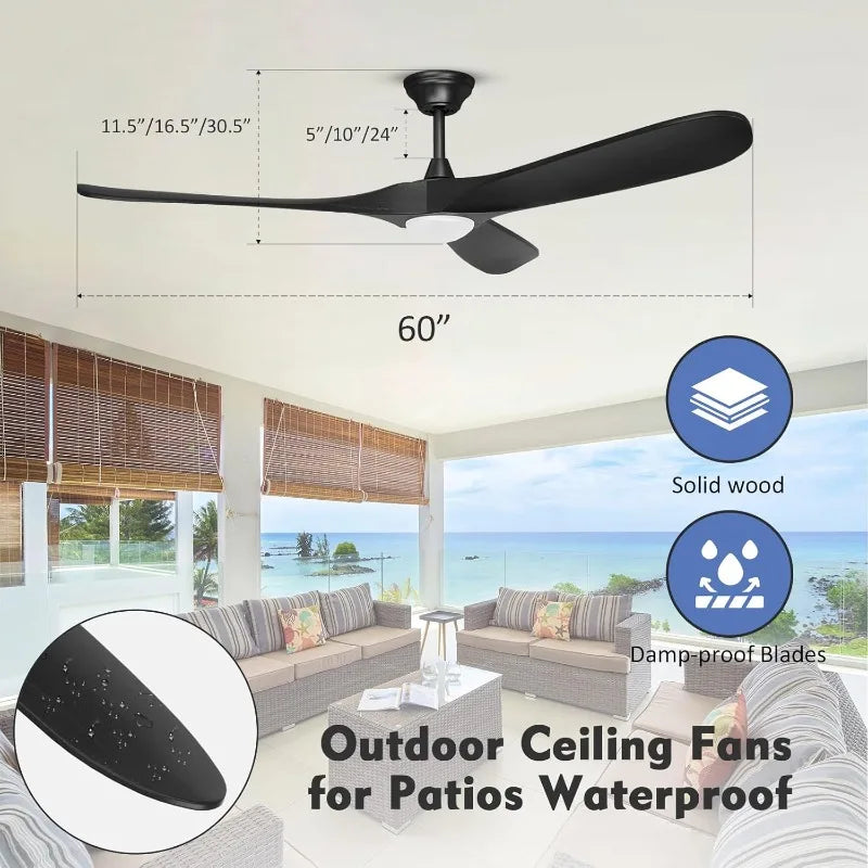 Ceiling Fan With Light/Remote