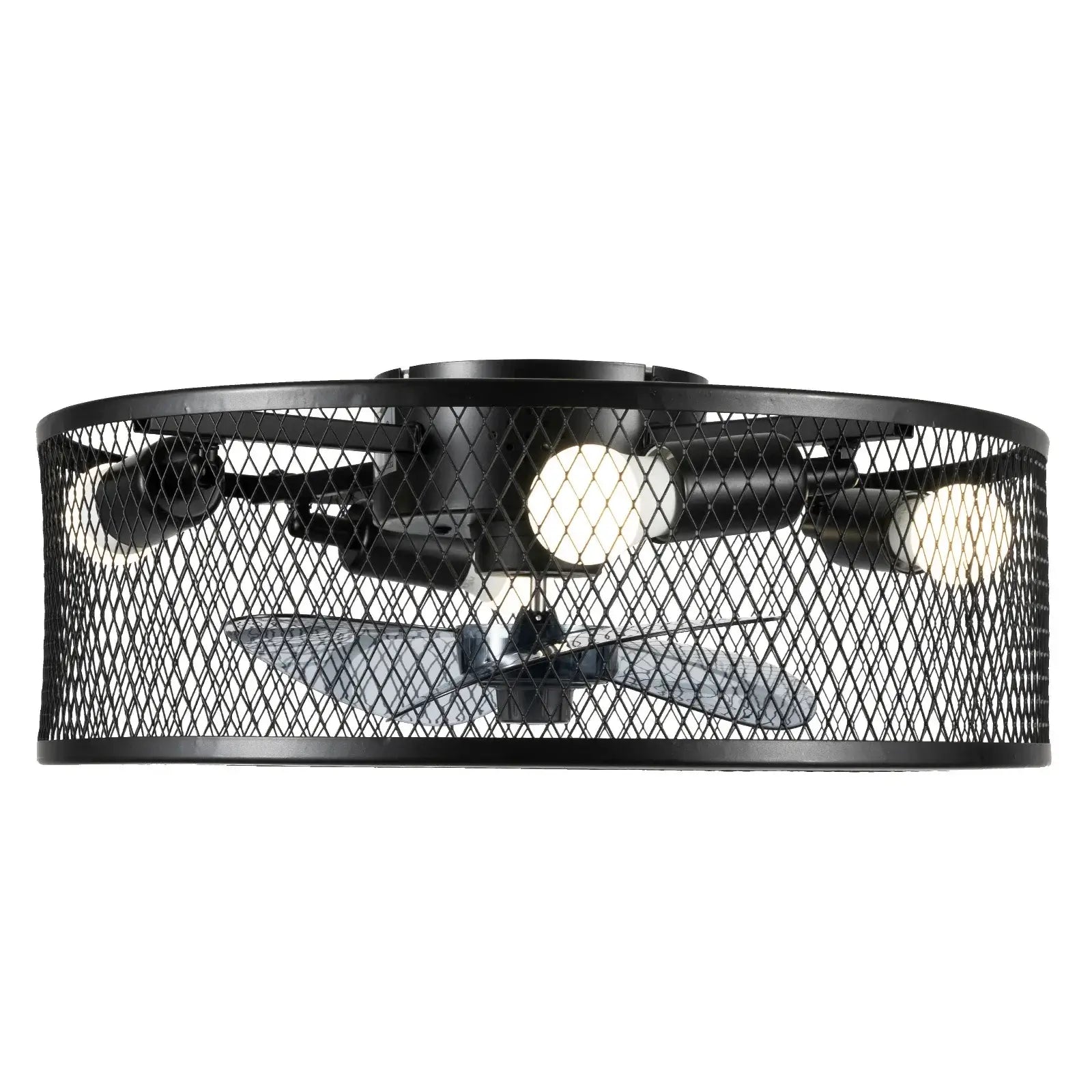 Caged Ceiling Fan with Integrated Light Fixture