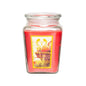 8 Aroma Scented Candles