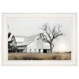 Ohio Fields I Framed Print l Ready To Hang