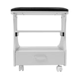 Foot Rest Pedicure Stool with Wheels