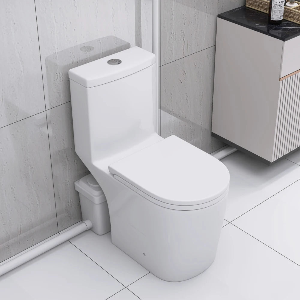 Upflush Toilet in Basement