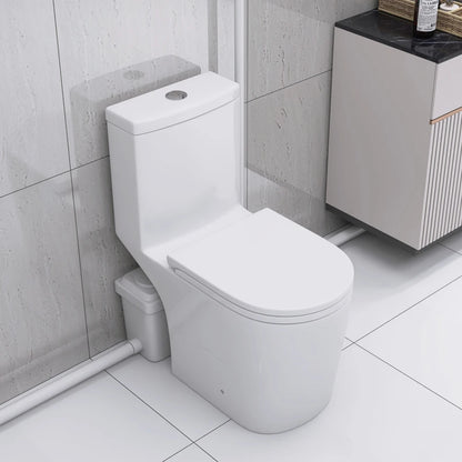 Upflush Toilet in Basement