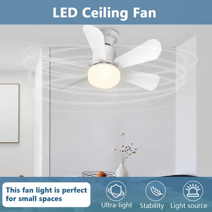 Silent Ceiling Fan/Light