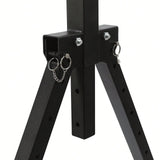 Pull Up Dip Station/441Lbs