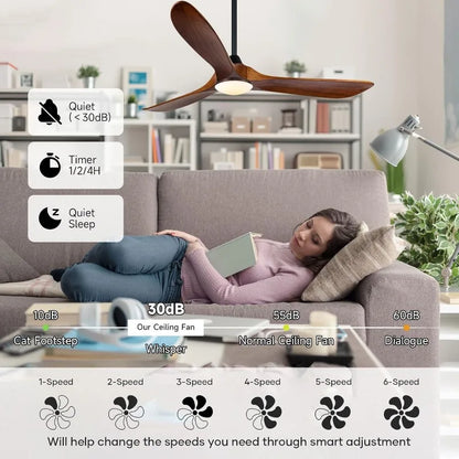 60-Inch Ceiling Fan/Light