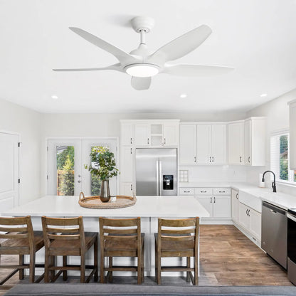 48-Inch Ceiling Fan/LED DC