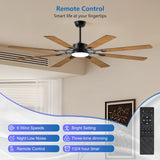 Black Ceiling Fan/Lights