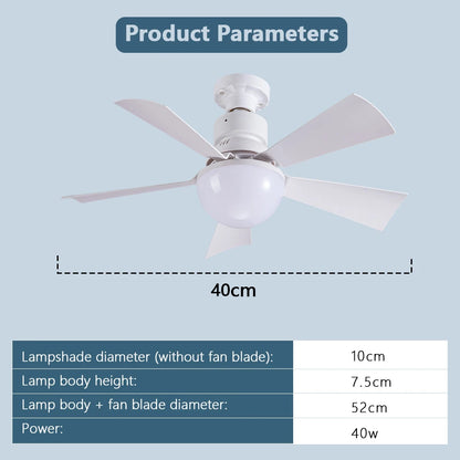 30W LED Light Ceiling Fan