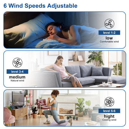 42/52-Inch Ceiling Fan/Lights