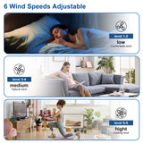 42/52-Inch Ceiling Fan/Lights