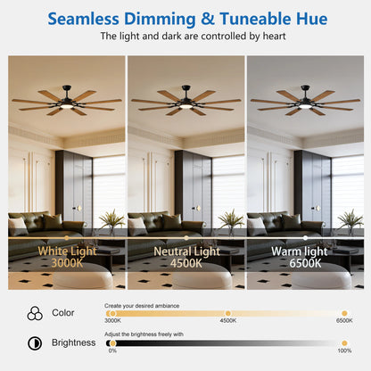 Black Ceiling Fan/Lights