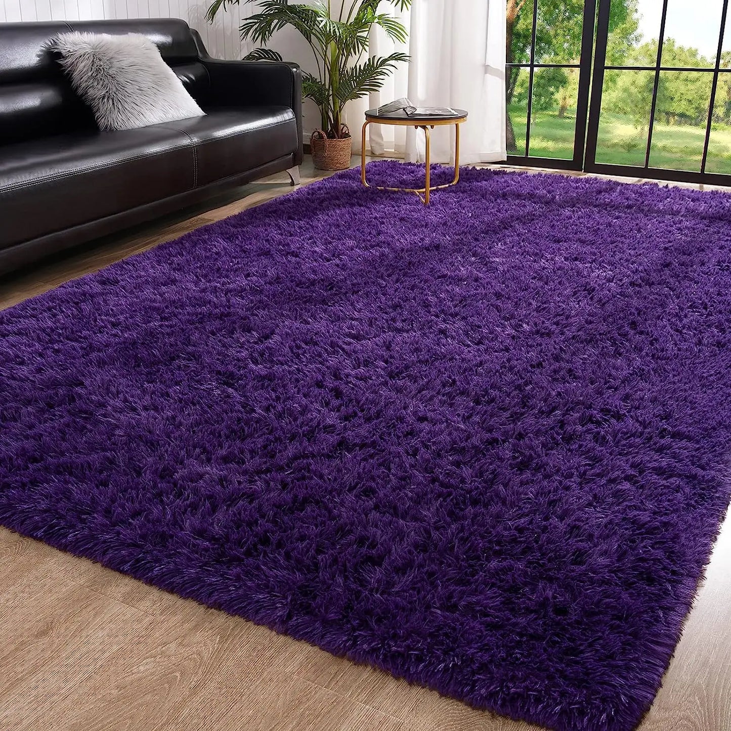 Fuzzy Area Rugs