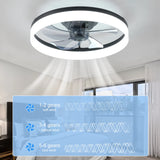 LED Fan Light/20 Inch