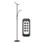 Floor Lamp with Remote Control