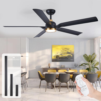 60 Inch Ceiling Fan with Light