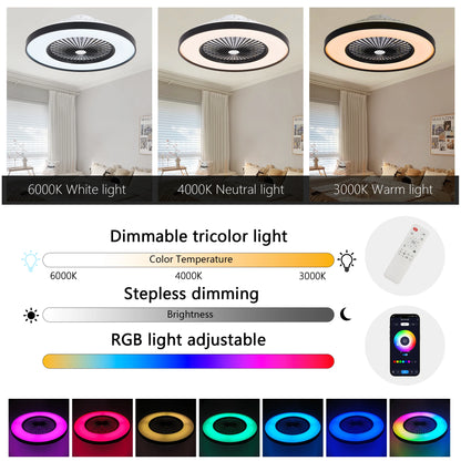 Black Ceiling Fan/LED Light