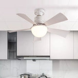 30W LED Light Ceiling Fan