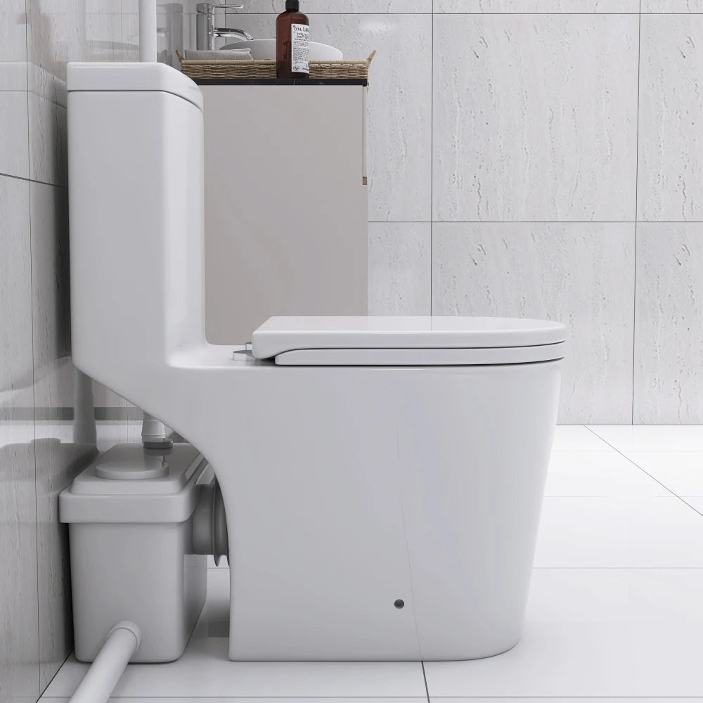 Upflush Toilet in Basement