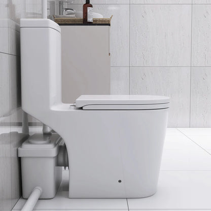 Upflush Toilet in Basement
