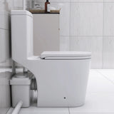 Upflush Toilet in Basement