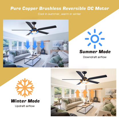 60 Inch Ceiling Fan with Light