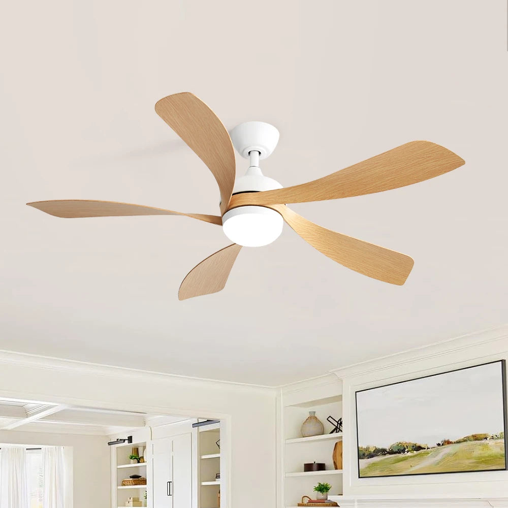 52-Inch Ceiling Fan/LED DC