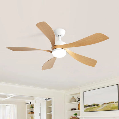 52-Inch Ceiling Fan/LED DC