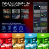 Smart WiFi Ceiling Light