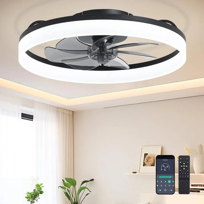 Low Profile Ceiling Fan