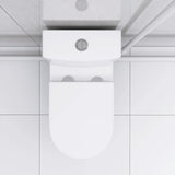 Upflush Toilet in Basement