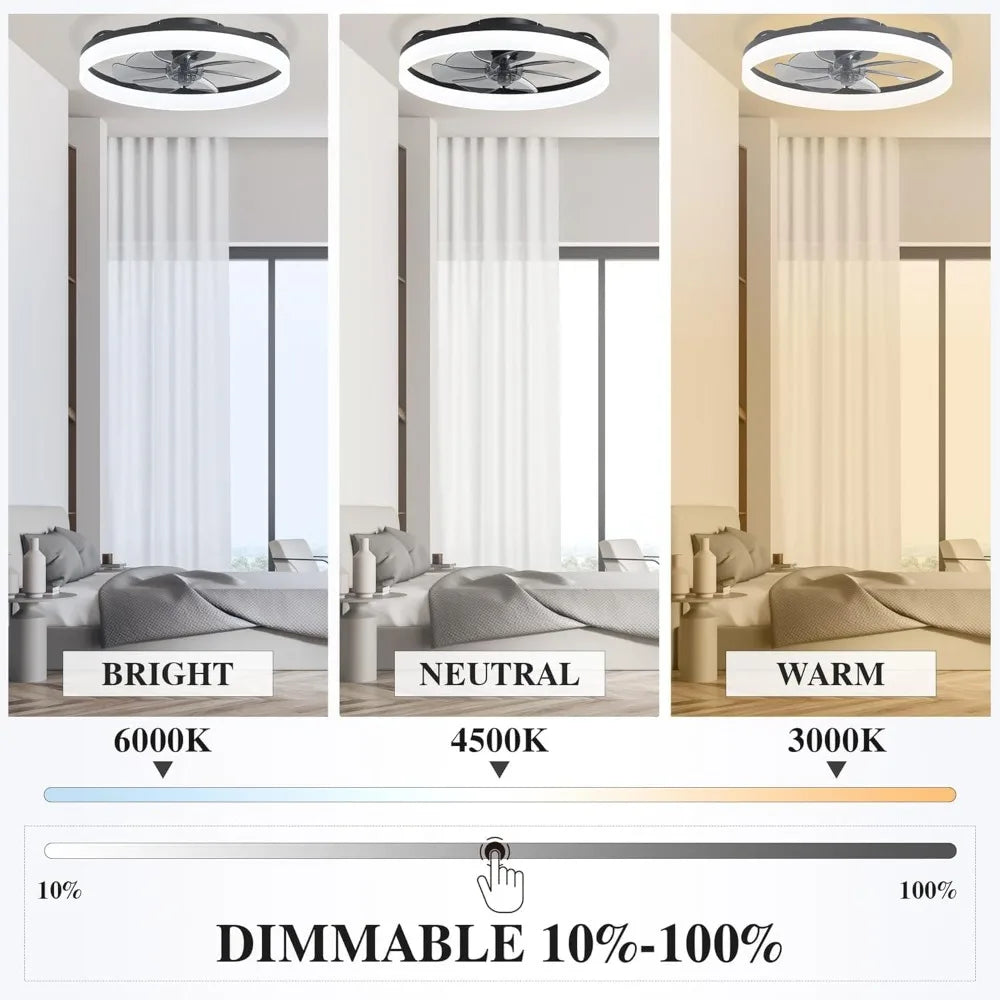 Low Profile Ceiling Fan