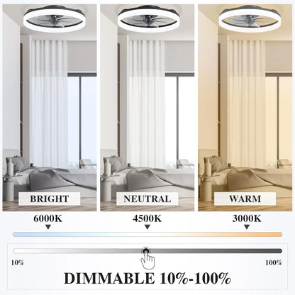 Low Profile Ceiling Fan