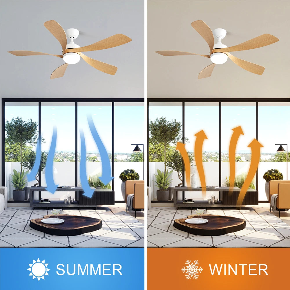 52-Inch Ceiling Fan/LED DC
