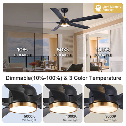 60 Inch Ceiling Fan with Light