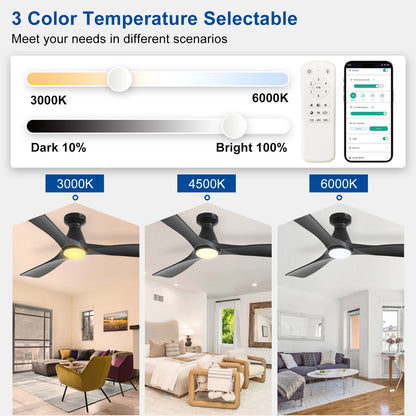 42/52-Inch Ceiling Fan/Lights