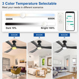 42/52-Inch Ceiling Fan/Lights