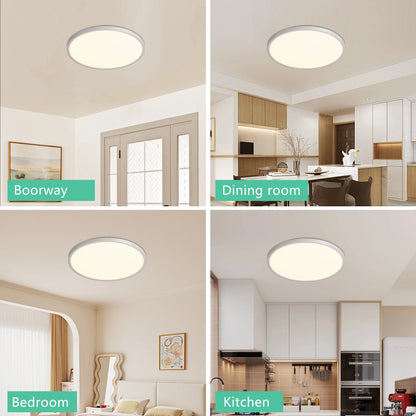 Flushs Mount Ceiling Light LED