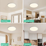 Flush Mount Ceiling Light/LED