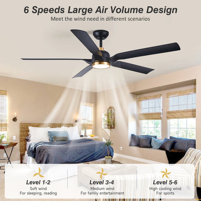 60 Inch Ceiling Fan with Light
