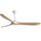 60-Inch Ceiling Fan