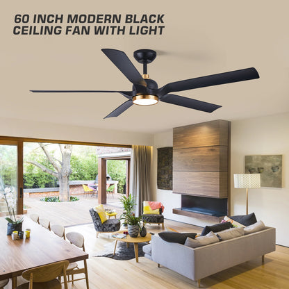 60 Inch Ceiling Fan with Light