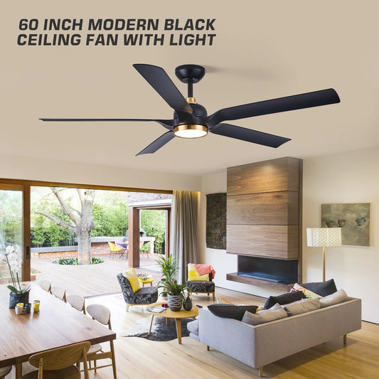 60 Inch Ceiling Fan with Light