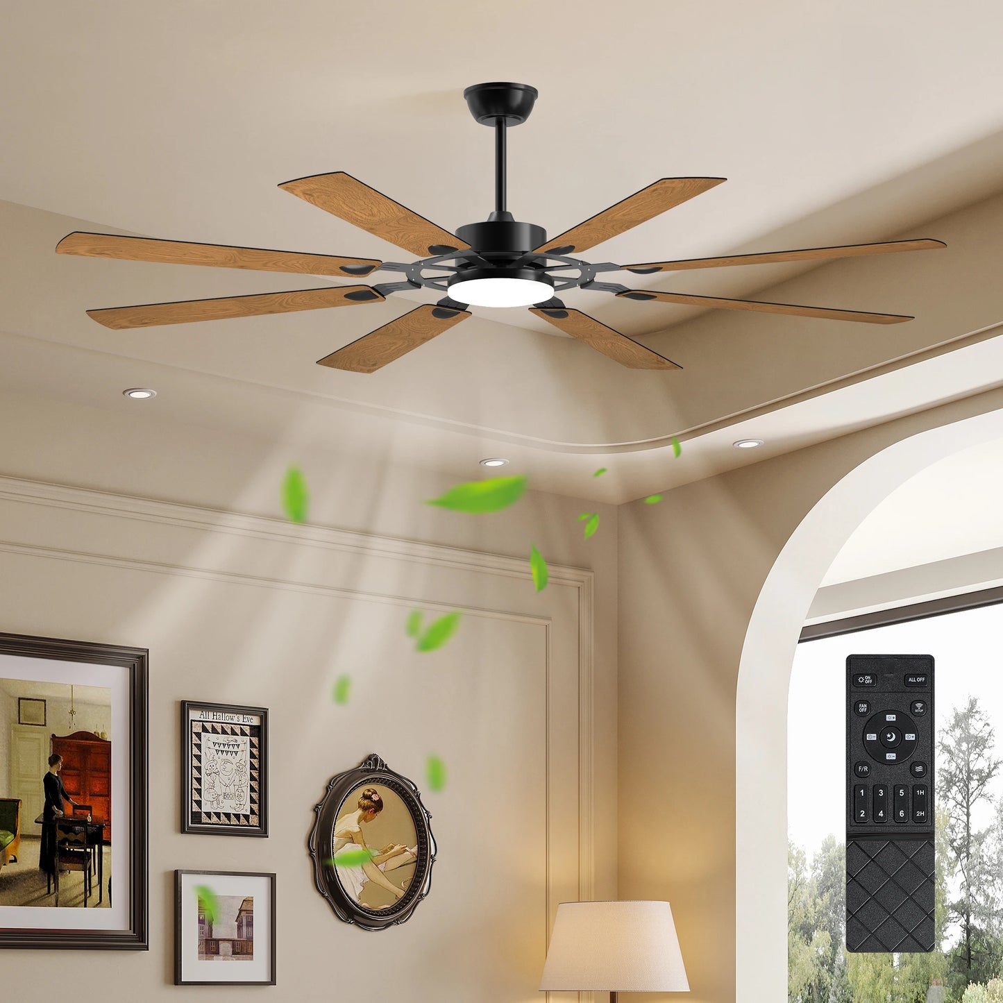 Black Ceiling Fan/Lights
