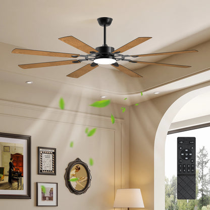 Black Ceiling Fan/Lights