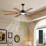 Black Ceiling Fan/Lights