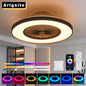 Black Ceiling Fan/LED Light