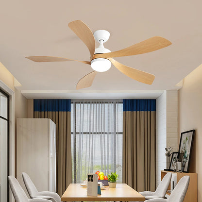 52-Inch Ceiling Fan/LED DC