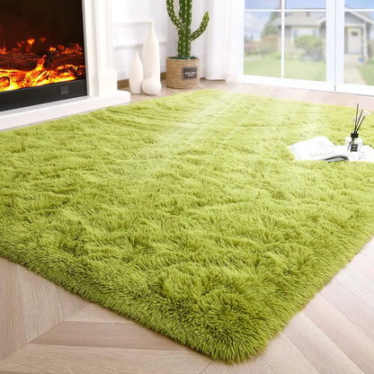 Fuzzy Area Rugs